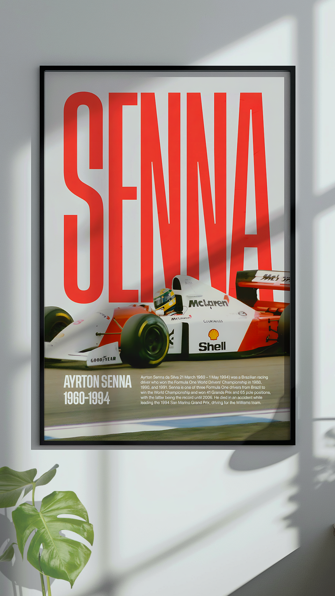 Cuadros de Formula 1