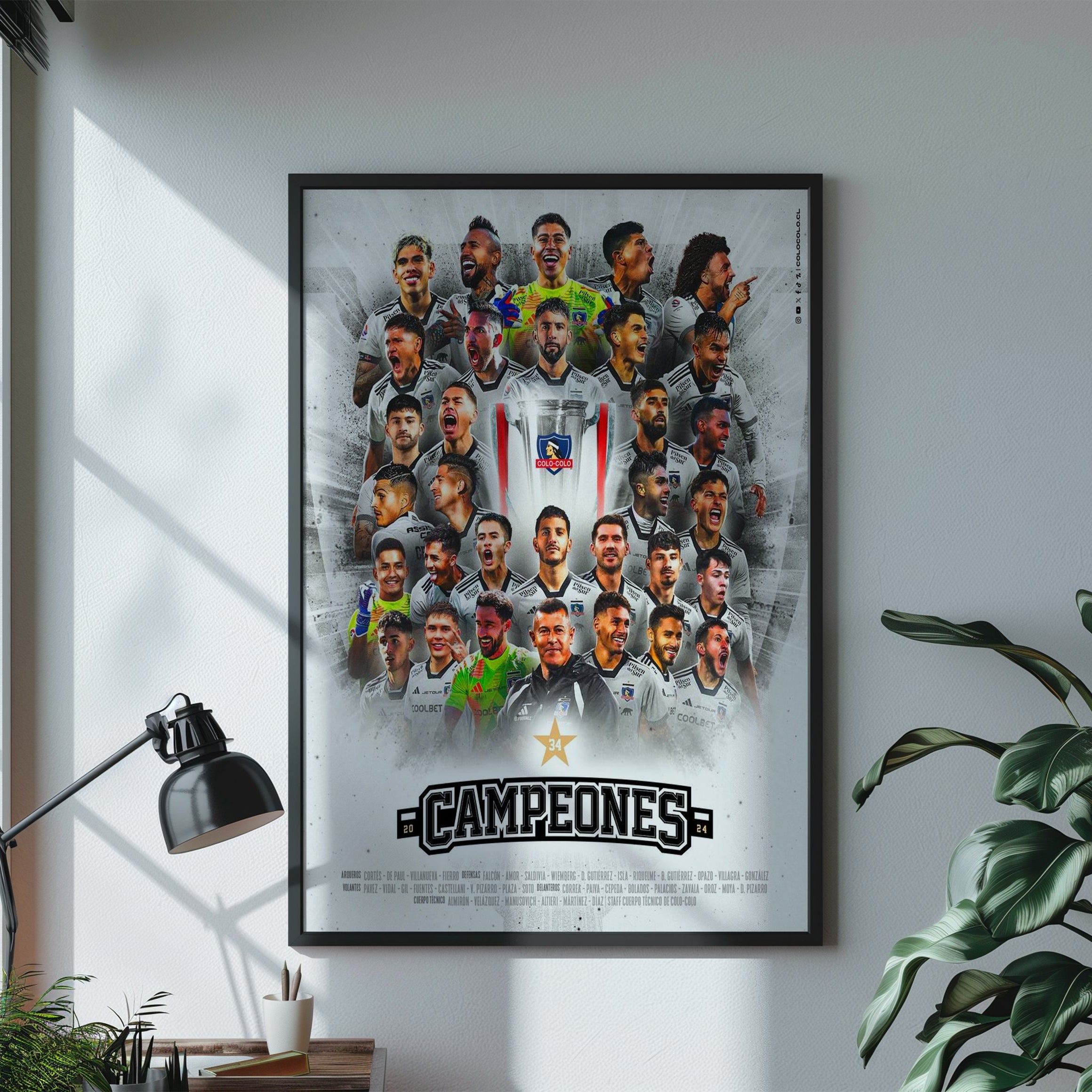 Cuadros de Colo Colo