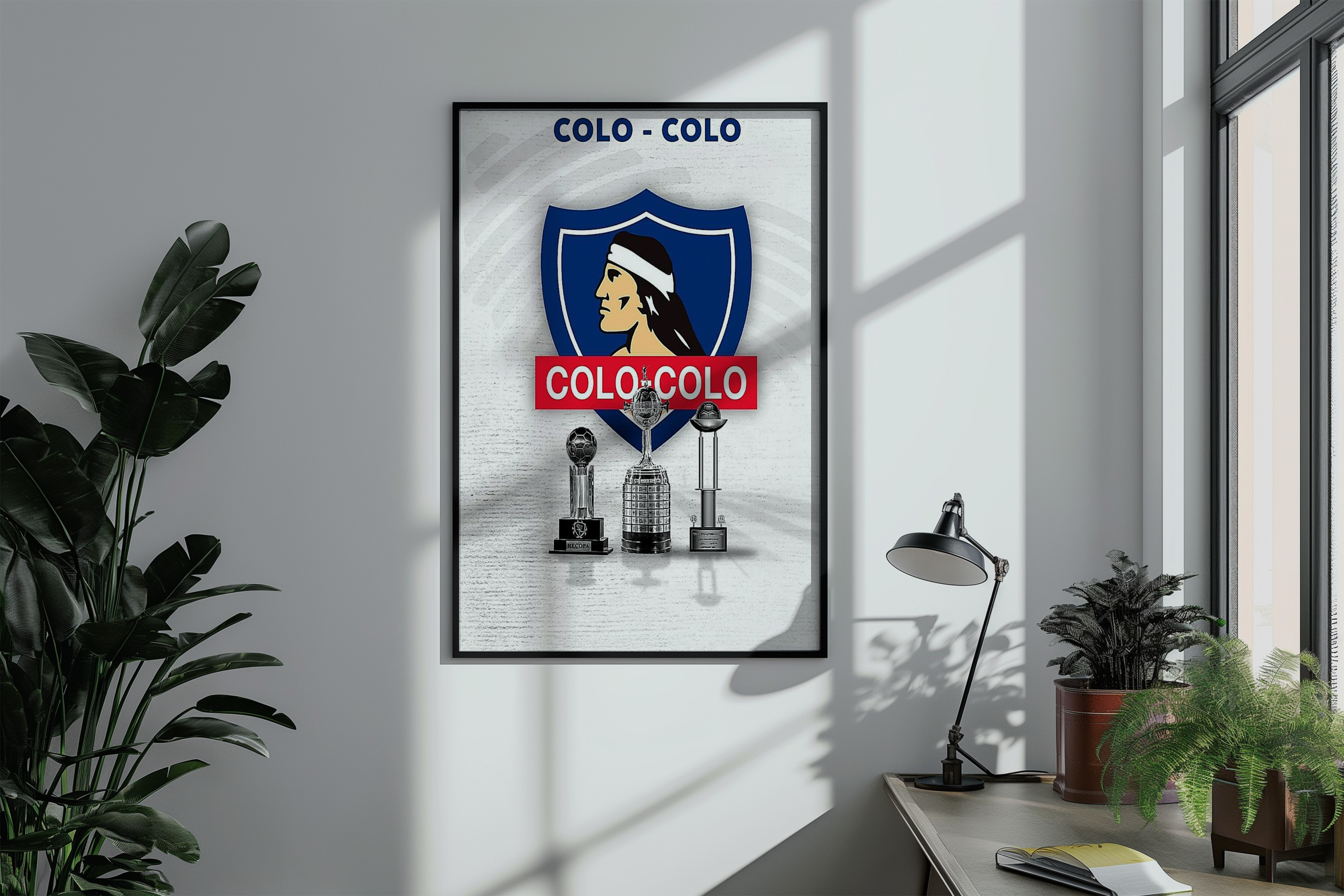 Cuadros de Colo Colo