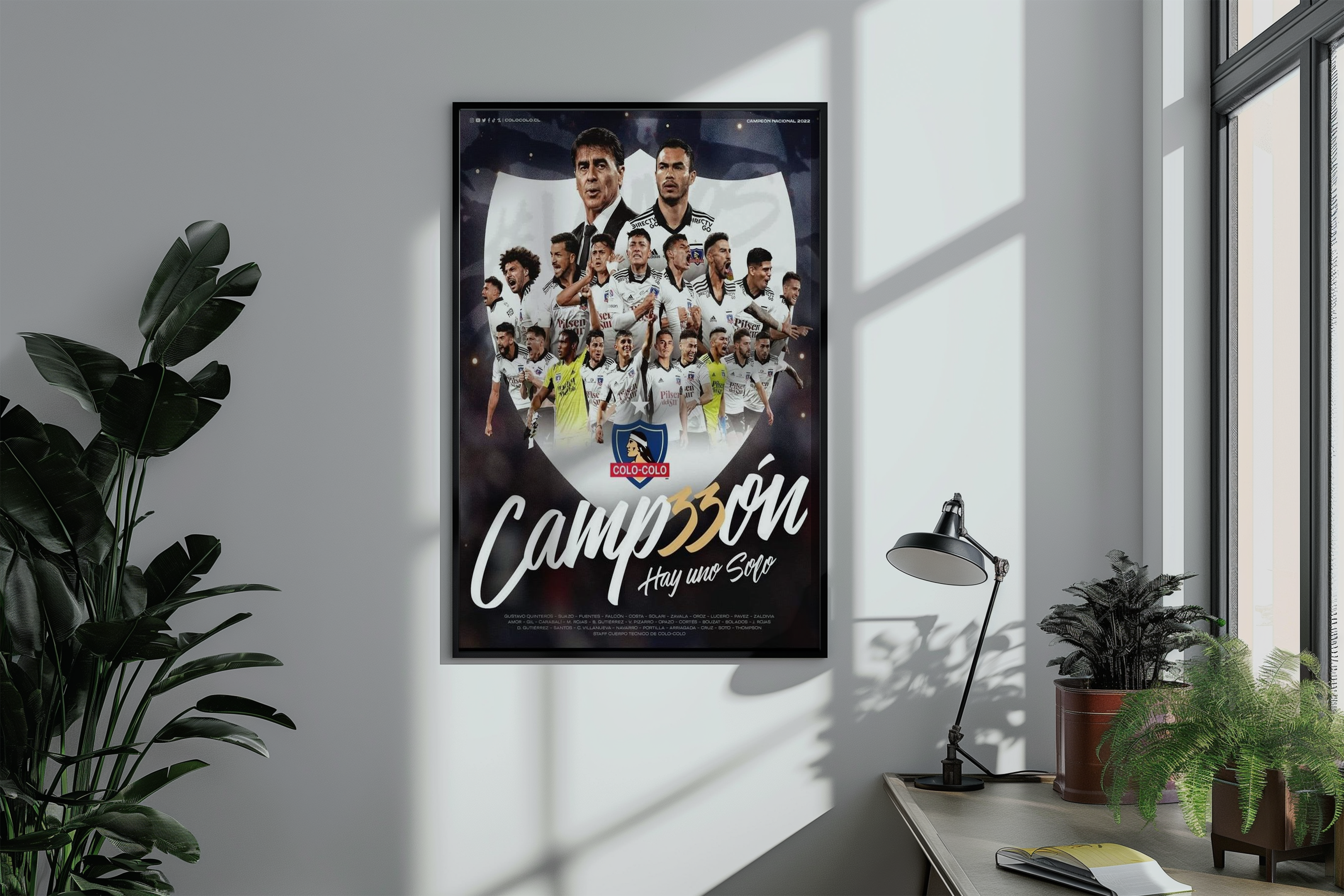 Cuadros de Colo Colo