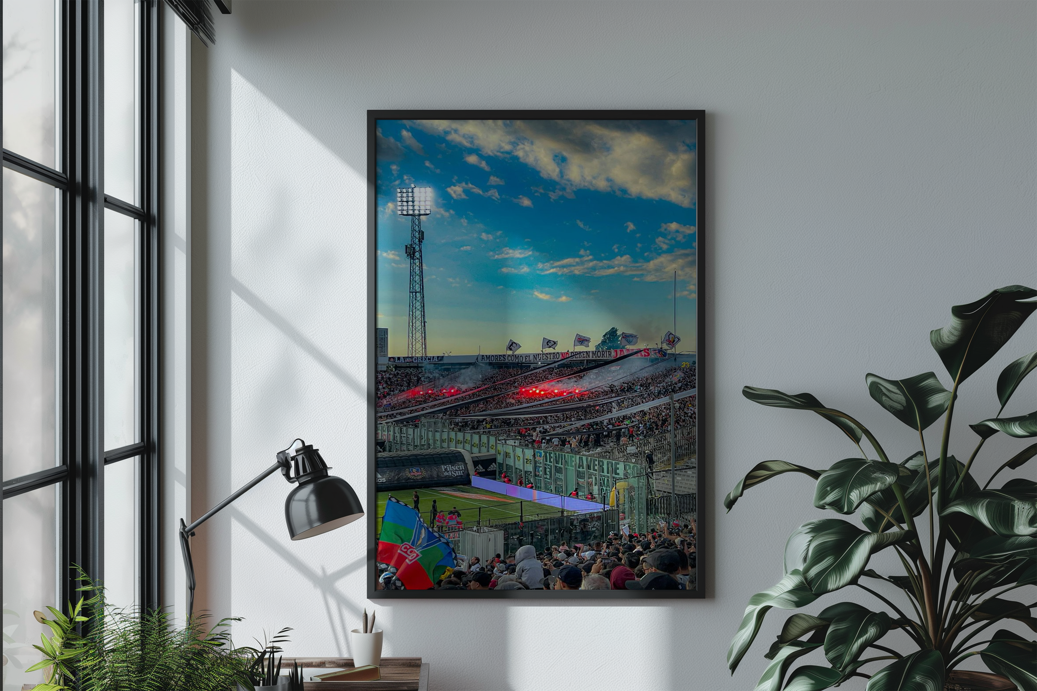 Cuadros de Colo Colo