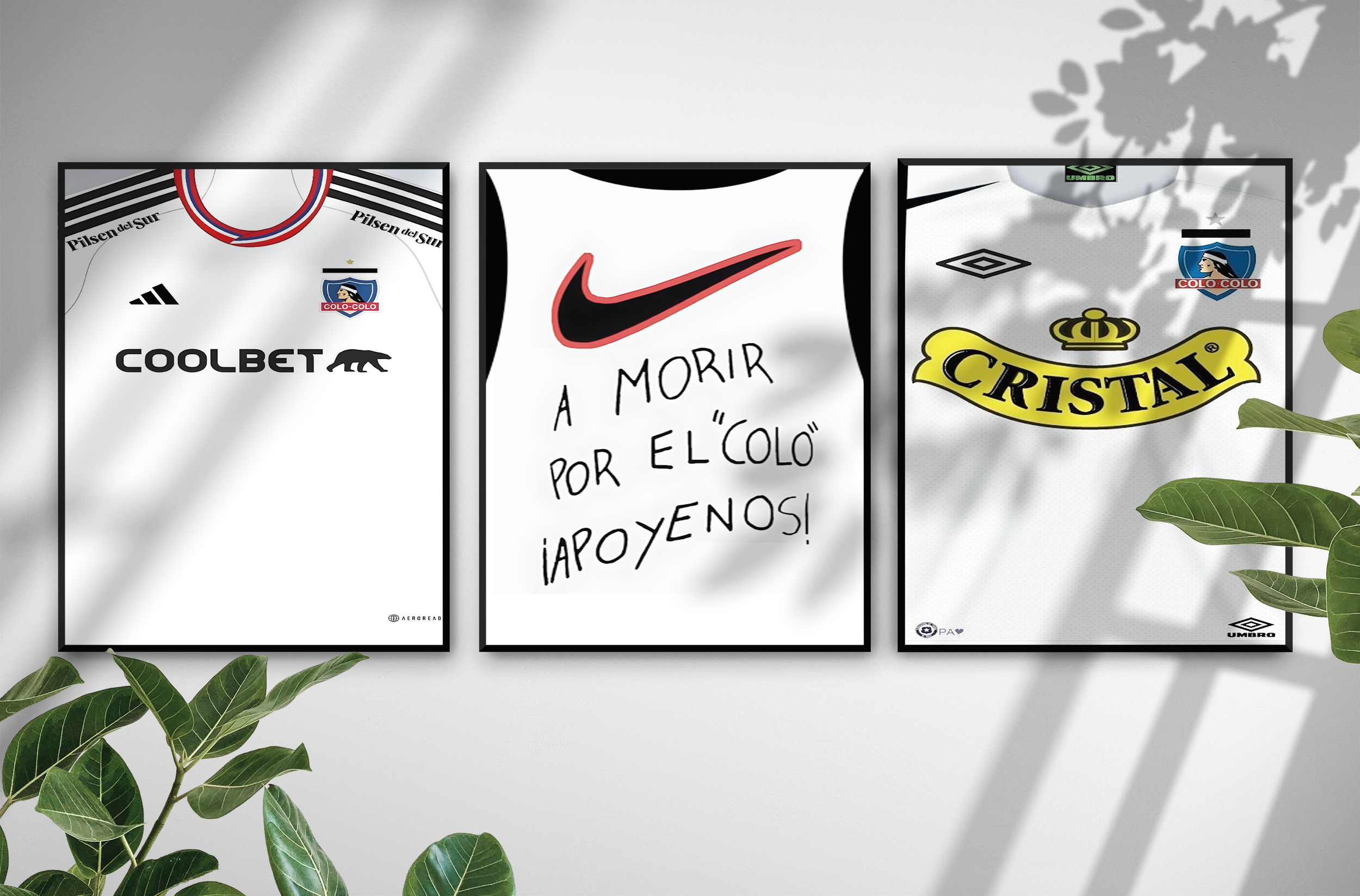 Cuadros de Colo Colo
