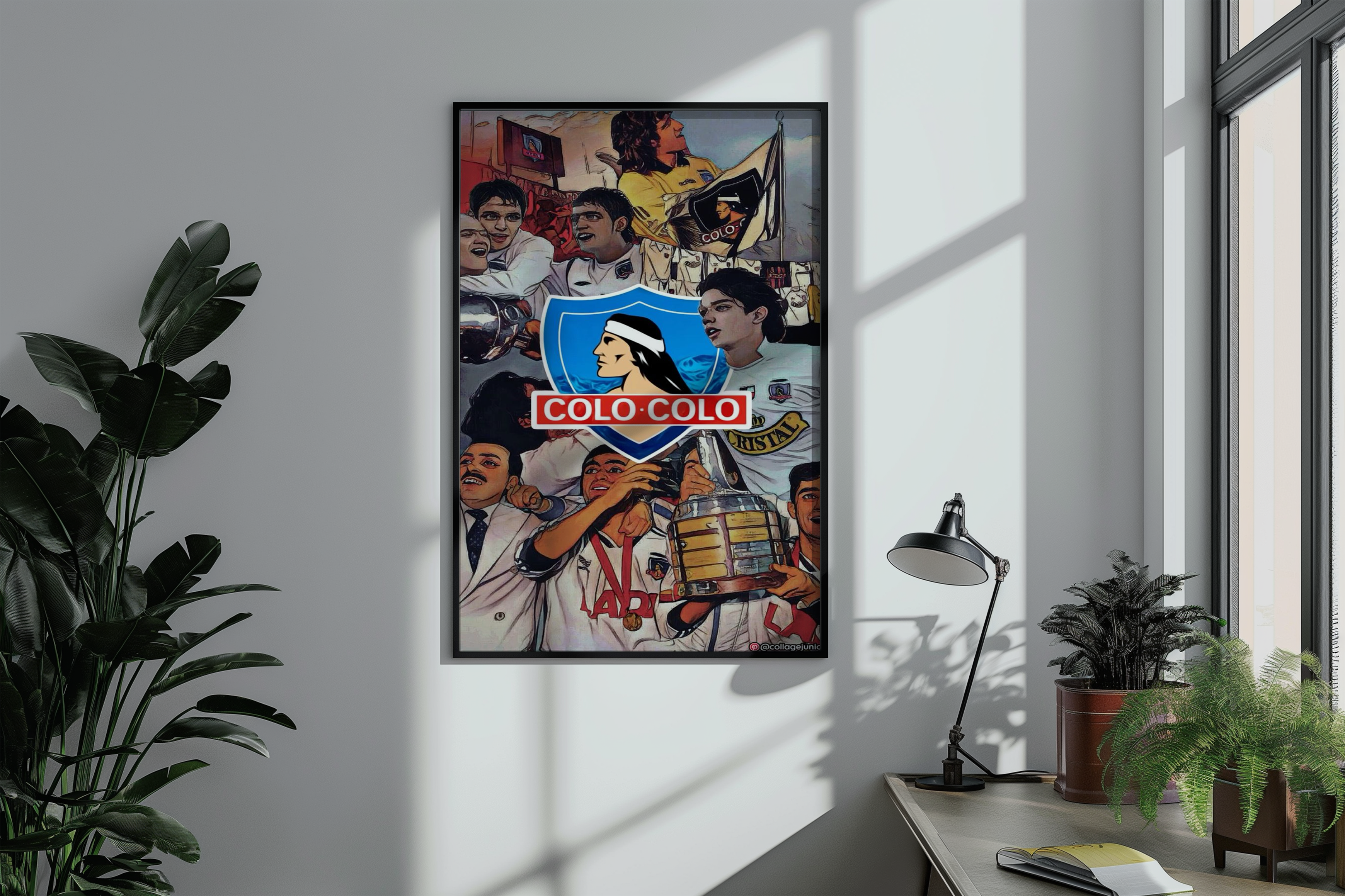 Cuadros de Colo Colo