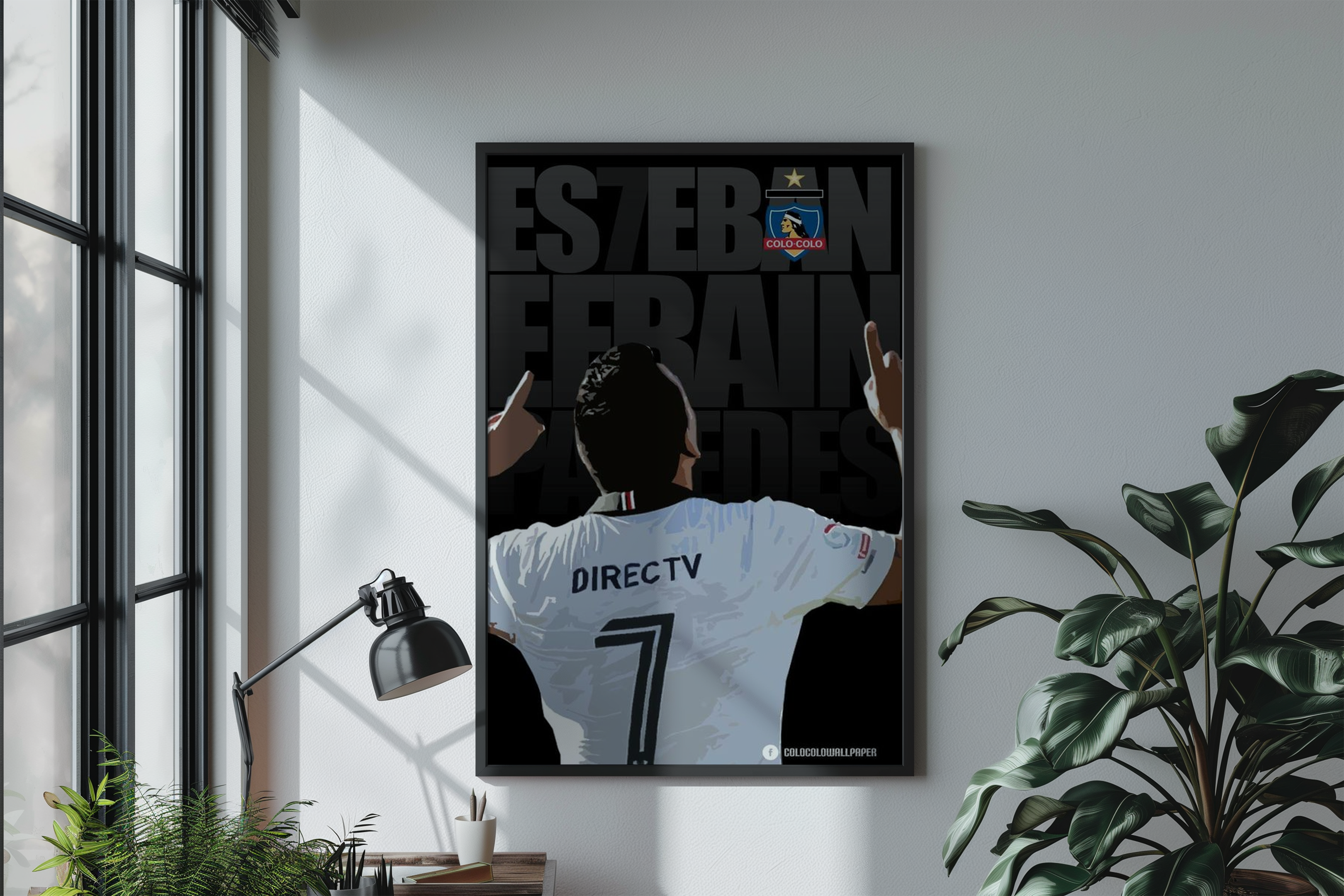 Cuadros de Colo Colo